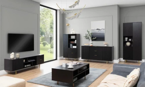 NUBIA Regal NB 04